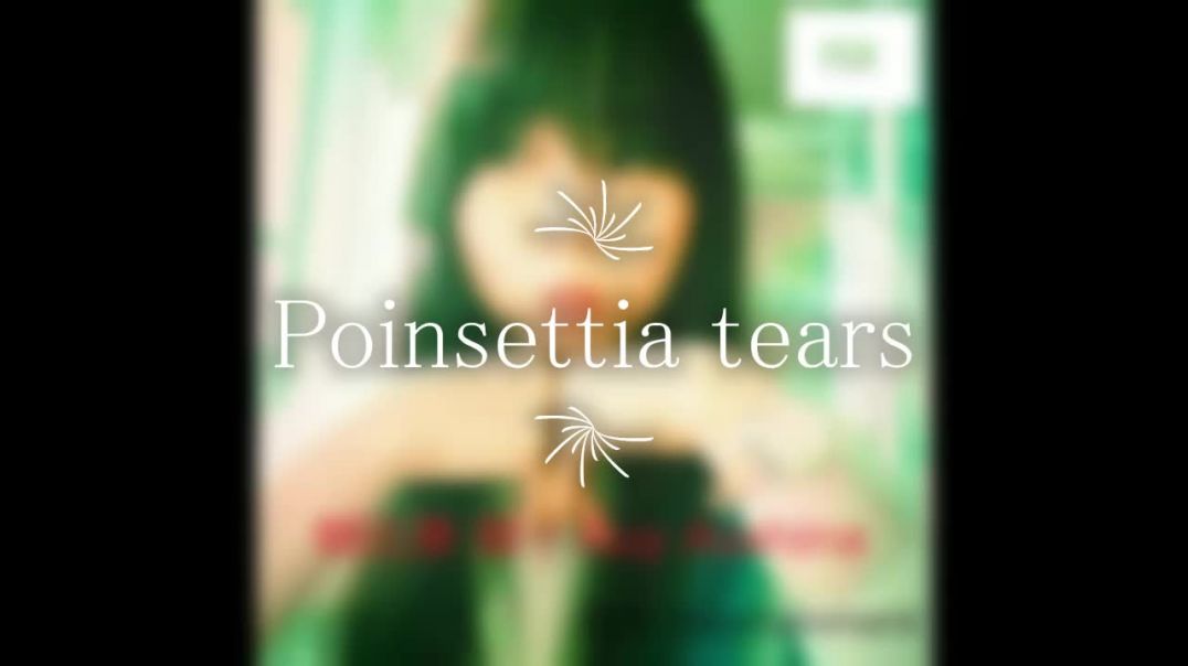 朝比奈類 Poinsettia tears.mp4