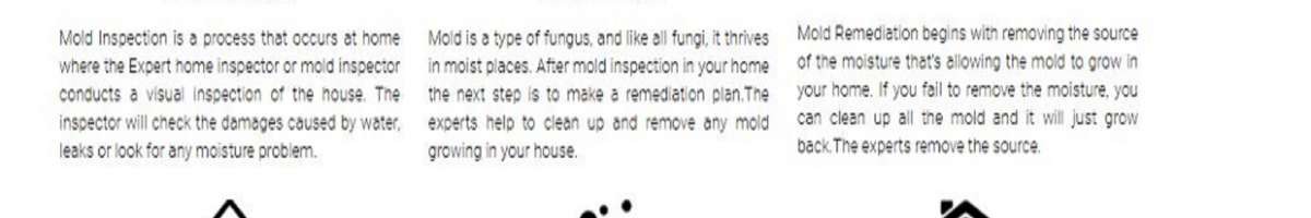 ALL US Mold Removal Remediation Pompano Beach FL