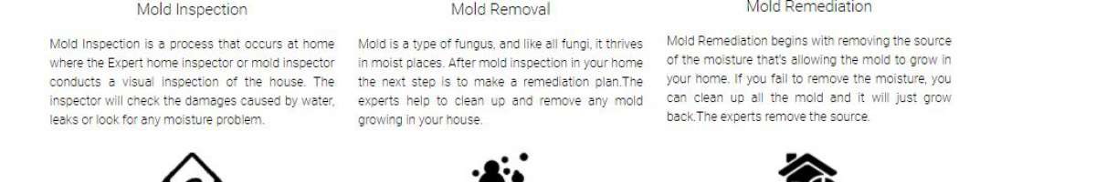 ALL US Mold Removal & Remediation - Miami FL