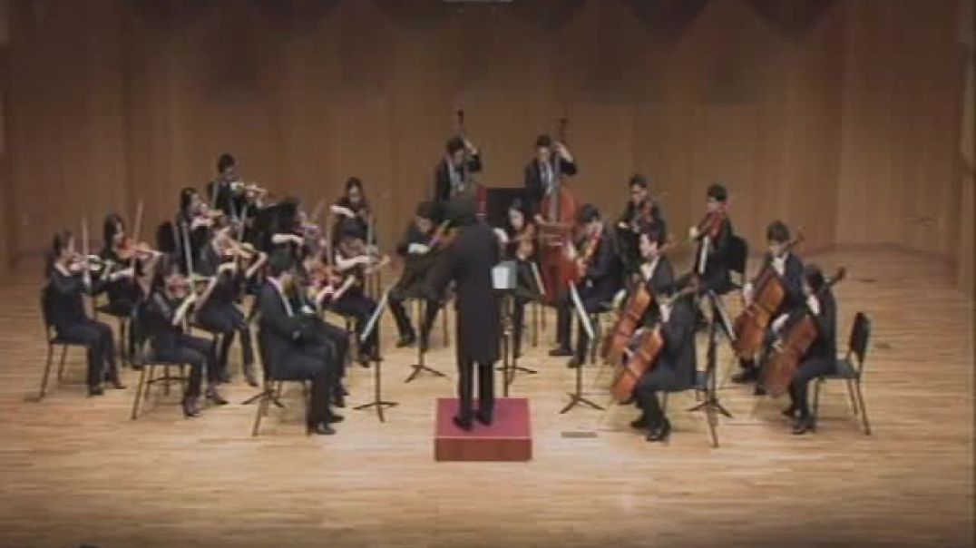 [nationalux] Bela Bartok Divertimento for String Orchestra